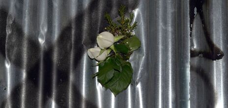 Ξεκινά η διαδικασία έκδοσης της 46χρονης για την υπόθεση της Marfin 