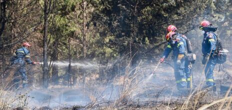 Ρεκόρ συλλήψεων για εμπρησμούς από αμέλεια το τελευταίο διήμερο