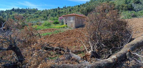 Καθαρίζω το χωράφι μου, ας εισβάλλω και στου γείτονα