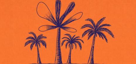 Gaël Faye, «Τζακαράντα», εκδόσεις Πατάκη