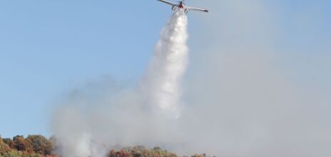 Φωτιά στην Οινόη: «Μαρτυρίες κάνουν λόγο για τσιγάρο που πετάχτηκε από αυτοκίνητο» λέει ο δήμαρχος Μάνδρας