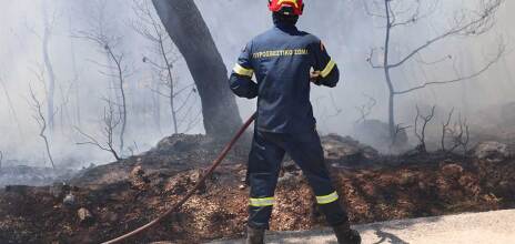 Πυροσβέστης σε δασική πυρκαγιά
