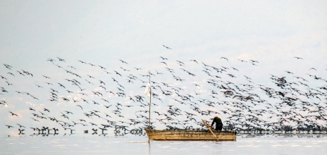 Kerkini Wetlands Photo Awards