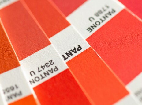 PANTONE 2347-U ©Christina Rumpf unsplash