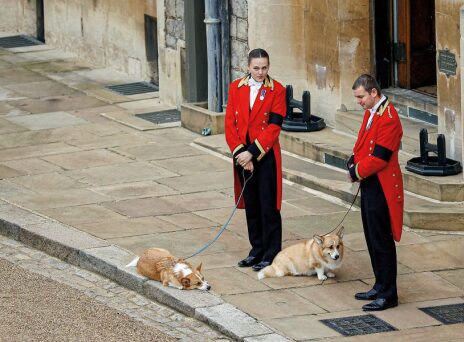 Βασίλισσας Ελισάβετ με τα κόργκι της