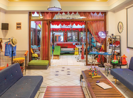 Dog n' Roll pet grooming