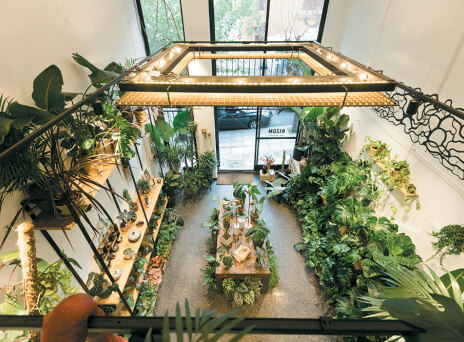 Rizom Athens, μια urban ζούγκλα κάτω από τον Παρθενώνα 