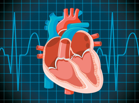 Διαδερμική επεμβατική θεραπεία: Το μέλλον στην αντιμετώπιση της καρδιακής ανεπάρκειας