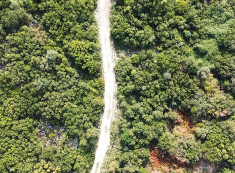 Φάρμα Λαφιωτάκη