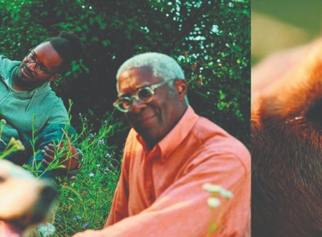 Boehringer Ingelheim