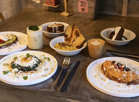 Beauty Killed The Beast