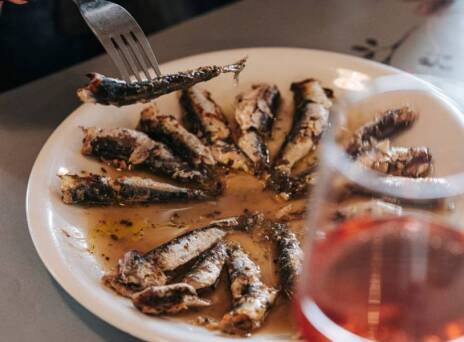 Το Θεραπευτήριο