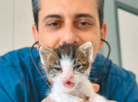 Surgivets: Υψηλού επιπέδου εξειδικευμένη ιατρική φροντίδα για τα ζώα συντροφιάς