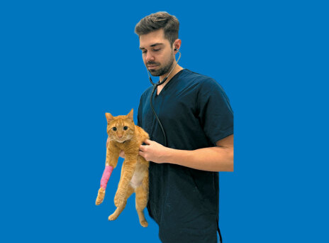 YourVet: Κατ’ οίκον κτηνιατρική φροντίδα