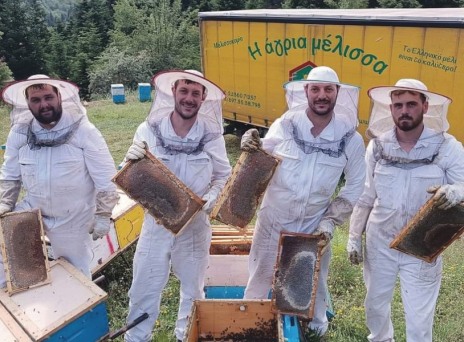 Άγρια Μέλισσα