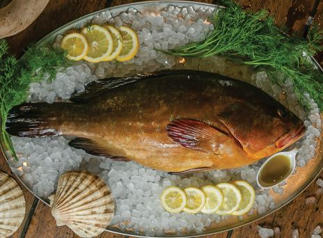 Θαλασσινός: Η θρυλική ψαροταβέρνα στις Τζιτζιφιές