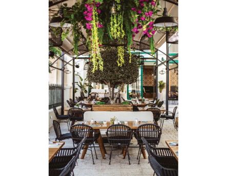  Κουτσή Κατσίκα