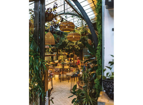 Λεύκες on the side