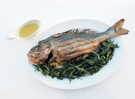 Αυλή - Δονούσα