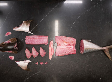 Βασίλαινας