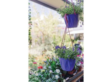 Green Art: Το Περιστέρι έχει το δικό του μπουτίκ φυτοπωλείο