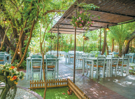 Μονοκατοικία, μοντέρνο μεζεδοπωλείο με υπέροχη αυλή 