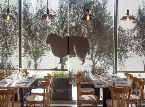 Το Μαύρο Πρόβατο του Press Café