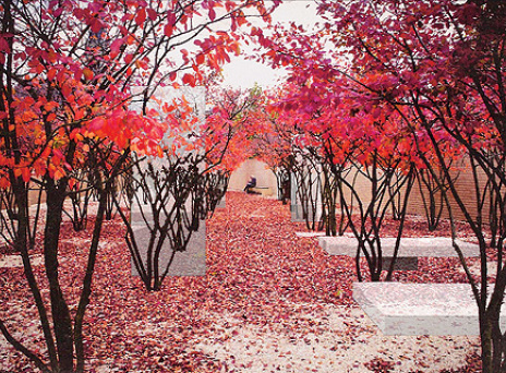 Η πρόταση της Ανδρονίκης Γιαννάτου είναι η πρώτη που θα υλοποιηθεί