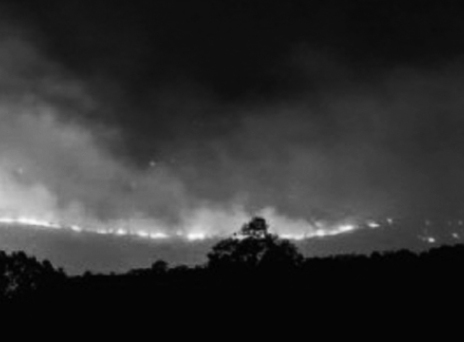 Edito: Πάρνηθα, το ολοκαύτωμα