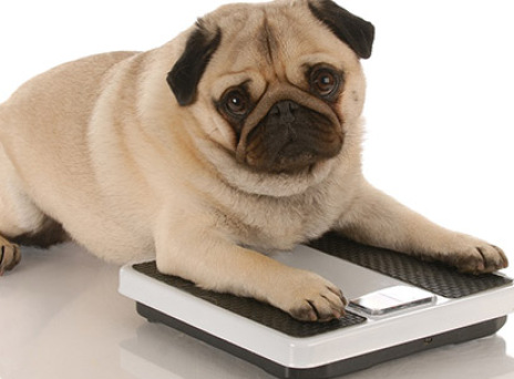 10 μικρά tips για αδυνάτισμα