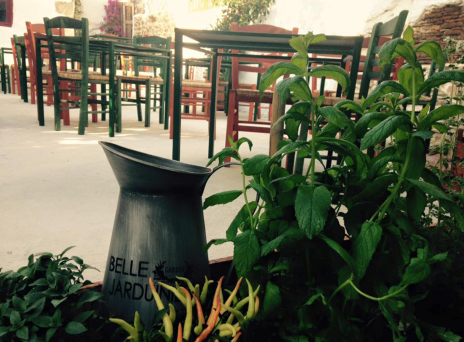 Ένας Μυστικός Κήπος στο Χαλάνδρι