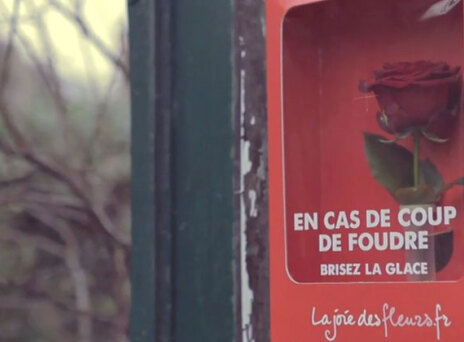 7 ερωτικές ιστορίες που κλέβουν καρδιές