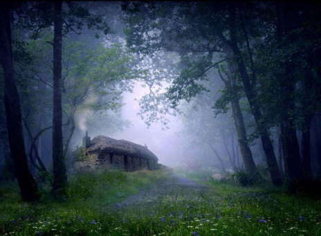 Διακοπές από την κόλαση (Αναγνώστες)