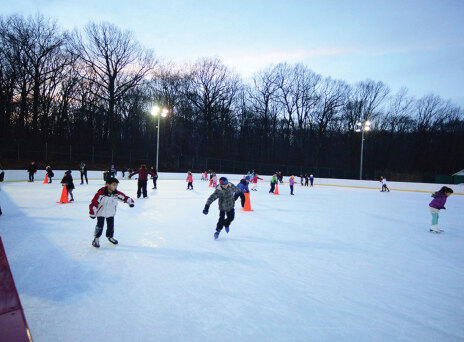 Κρύο καιρός για δύο (παγοπέδιλα)