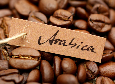 Επιστήμονες αποκωδικοποίησαν το DNA της δημοφιλέστερης ποικιλίας καφέ στον κόσμο