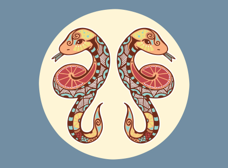 Ετήσια πρόβλεψη: Δίδυμοι