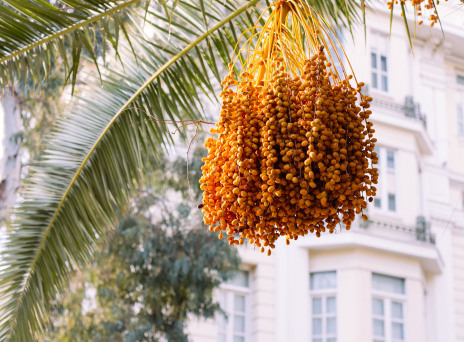 Στην Αθήνα, με το βλέμμα ψηλά   