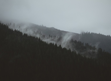 Αν δεν έχεις διαβάσει την «Ανάσταση» του Τολστόι, δεν έχεις διαβάσει τίποτα