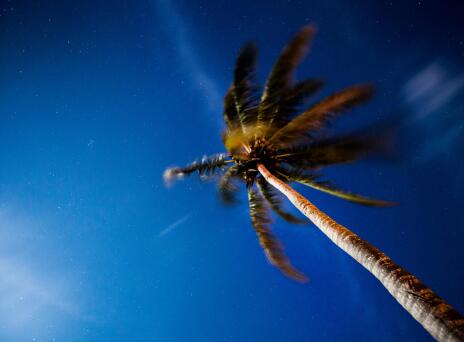 Ήρθε για διαβάσματα γεμάτα ένταση «Η άλλη πλευρά της σιωπής» του Philip Kerr