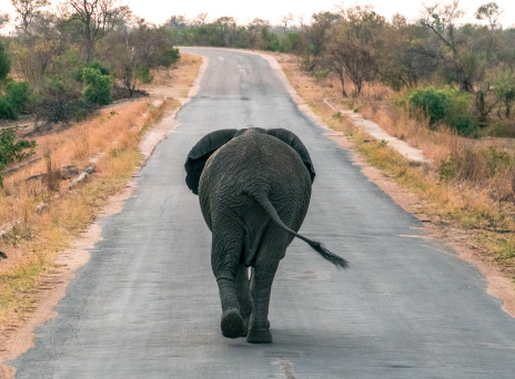 H Νότια Αφρική θα μείνει στην καρδιά σου μια ζωή