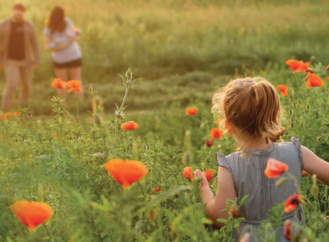 Η 1η Έκθεση Βιώσιμης Ανάπτυξης της MSD, σύμφωνα με τα πρότυπα GRI G4