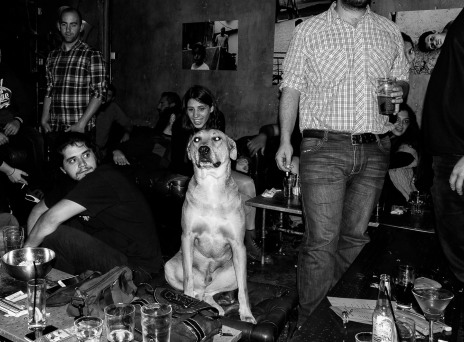 Οι σκύλοι του Hoxton