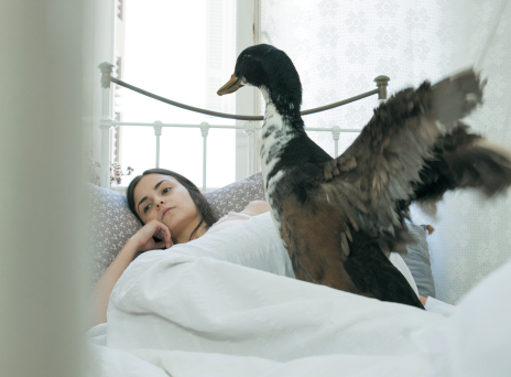 Τι θα δούμε φέτος στο θέατρο Πορεία