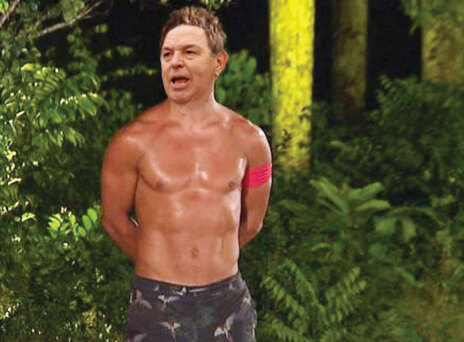 Έναν Φράγκο η βιολέτα