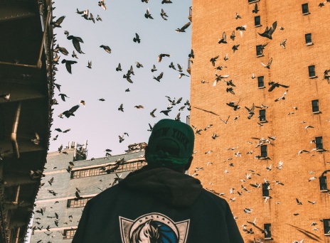 18 εικόνες από τη Νέα Υόρκη που δεν θα ξεχάσει ο Πέτρος Πουλόπουλος 