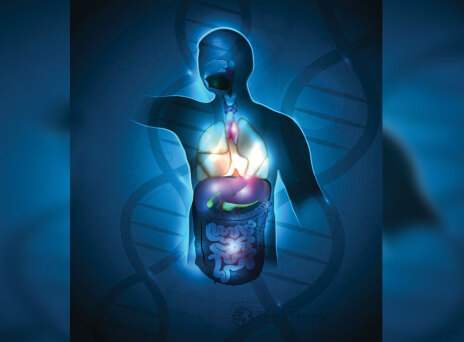 Η σημασία των αμινοξέων στην ενίσχυση του οργανισμού κάτω από ιδιαίτερες συνθήκες