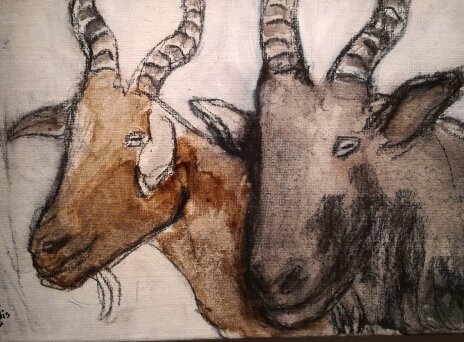 Ποιος γέμισε με τράγους το Κολωνάκι;