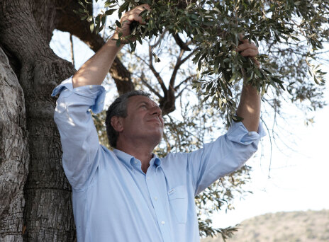 Η Αίγινα του Philippe Poli  (Philippos Hellenic Goods)