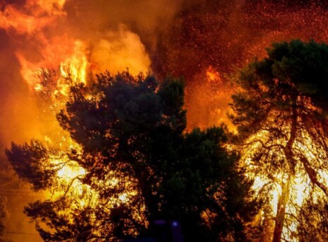 Πυρκαγιές: Ένας πρώτος απολογισμός μιντιακού κανιβαλισμού και fake news