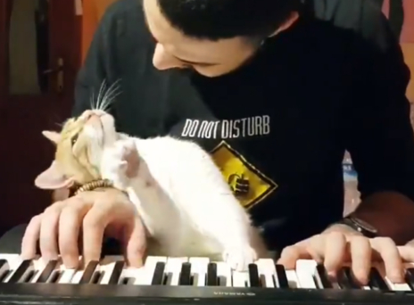 Σε αγαπώ μέχρι εκεί που φτάνουν τα πλήκτρα (video)